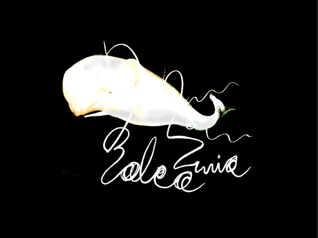 Balea Zuria